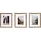 3 Pack Gallery™ Honey Frame with Mat by Studio Décor®